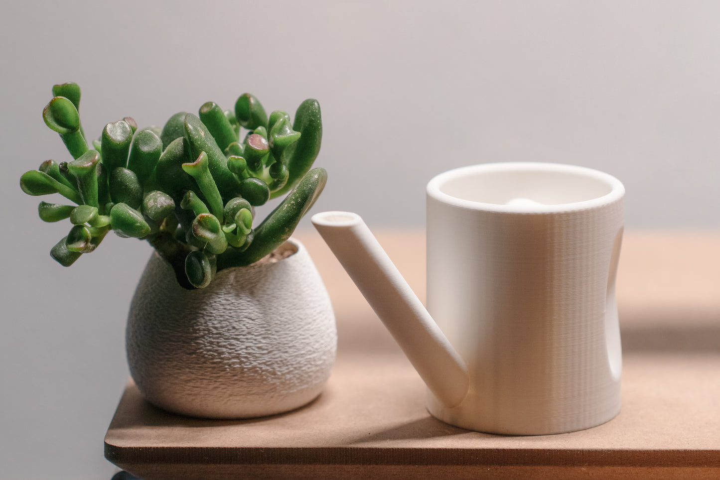 Little Watering Can Planter Set