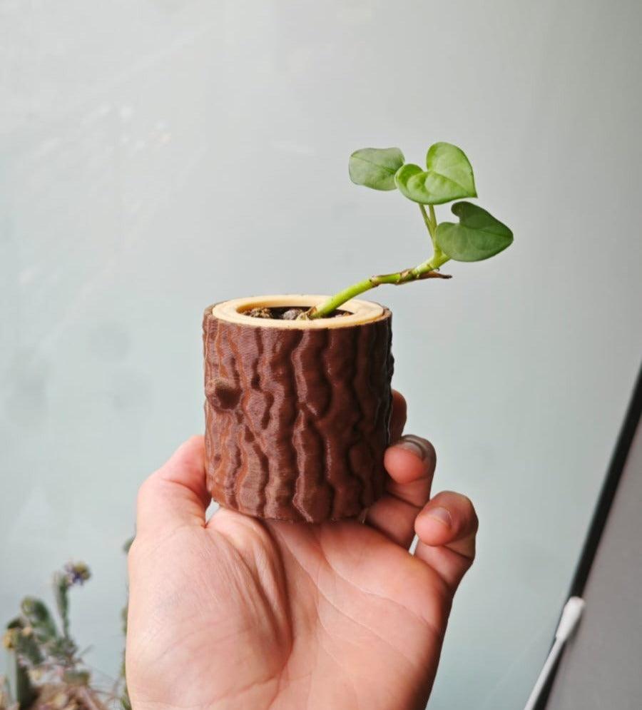 rustic plant pots Rustic Wood Log Planter