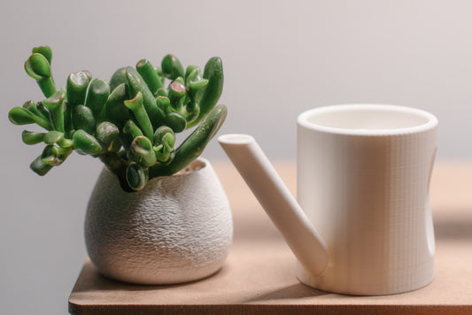 Little Watering Can Planter Set