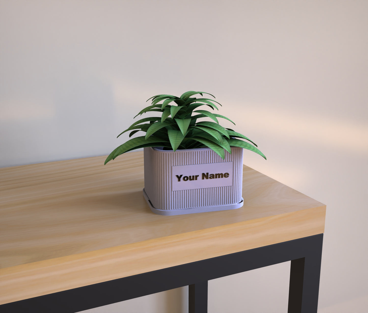 Minimal Planter With Name Label