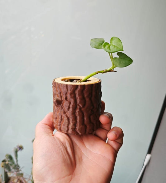 Rustic Log Planter 🌿 – 3D Printed Nature-Inspired Plant PotLog Planter