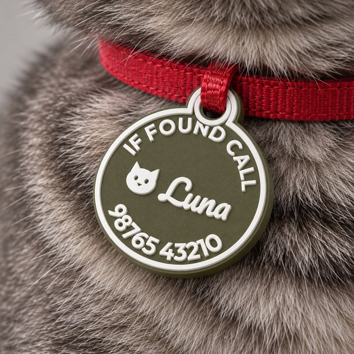 Round Pet ID Tag: green 'Luna' tag on a thin red cat collar on a grey tabby cat, close-up of the collar and fur only